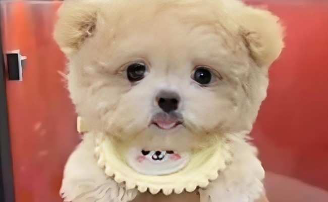 ����2�f�W(w��ng)ُ��̩�ϱ��ö����۾���̫������